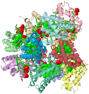 Image Asym./Biol. Unit - sites