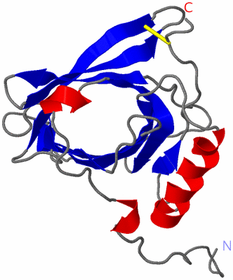 Image NMR Structure - model 1