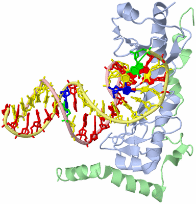 Image Biological Unit 1