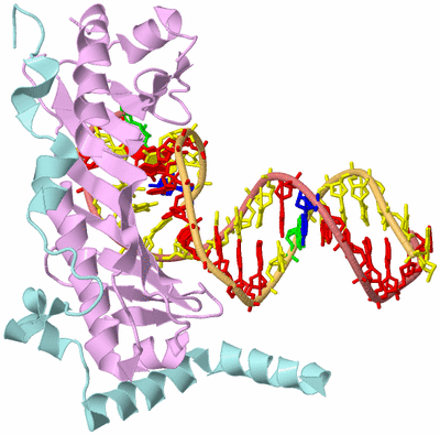 Image Biological Unit 2