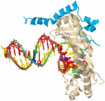 Image Biological Unit 3