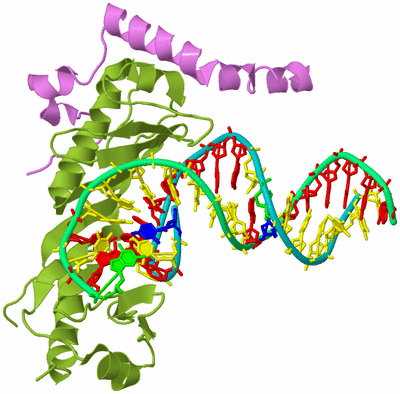 Image Biological Unit 4