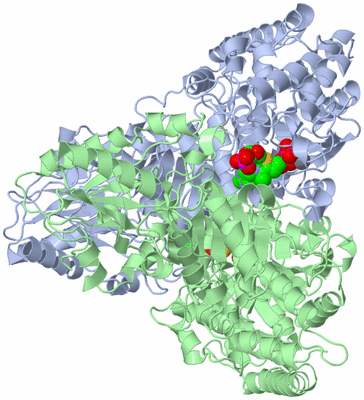 Image Asym./Biol. Unit