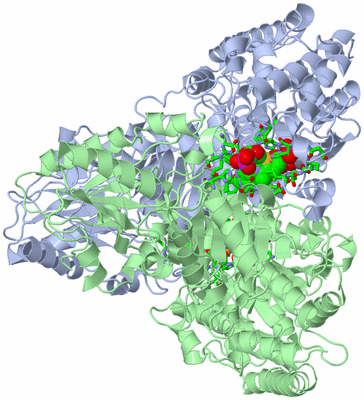 Image Asym./Biol. Unit - sites