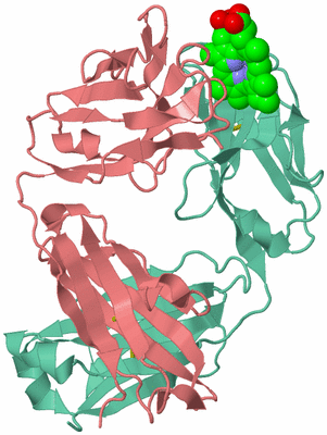 Image Biological Unit 1