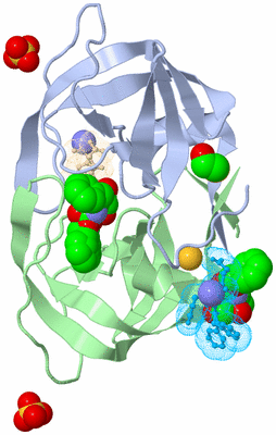 Image Asym./Biol. Unit
