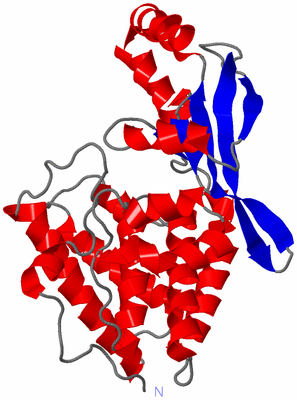 Image Asym./Biol. Unit