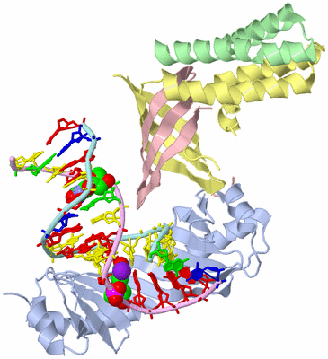 Image Asym./Biol. Unit