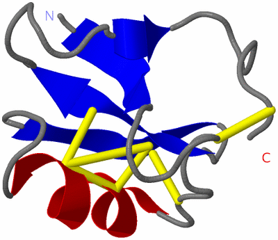 Image NMR Structure - model 1