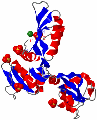 Image Asymmetric Unit