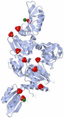 Image Biological Unit 1
