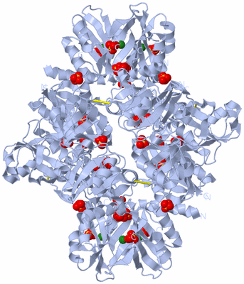 Image Biological Unit 2
