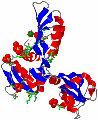 Image Asym. Unit - sites