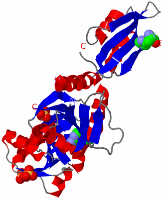 Image Asymmetric Unit