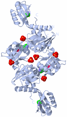 Image Biological Unit 1