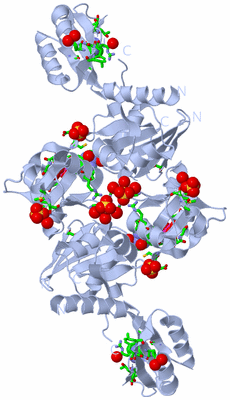 Image Biol. Unit 1 - sites