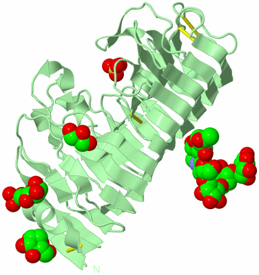 Image Biological Unit 2