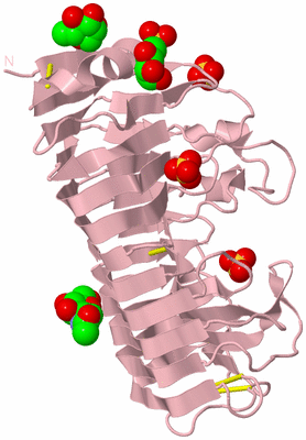 Image Biological Unit 3