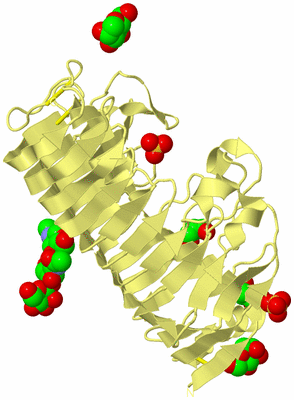 Image Biological Unit 4