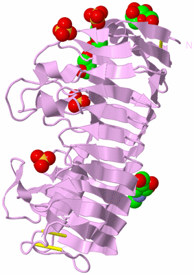 Image Biological Unit 5