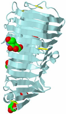 Image Biological Unit 6