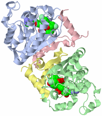 Image Biological Unit 1