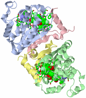 Image Biol. Unit 1 - sites