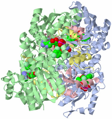 Image Biological Unit 2