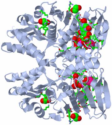 Image Biol. Unit 1 - sites