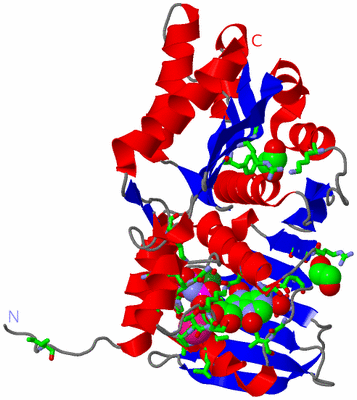 Image Asym. Unit - sites