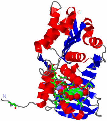 Image Asym. Unit - sites