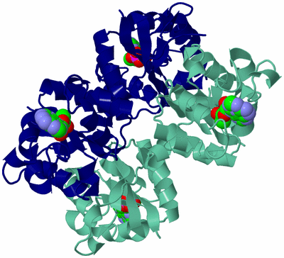 Image Biological Unit 1