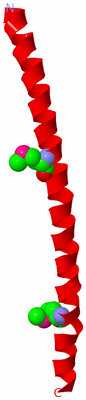 Image Asymmetric Unit