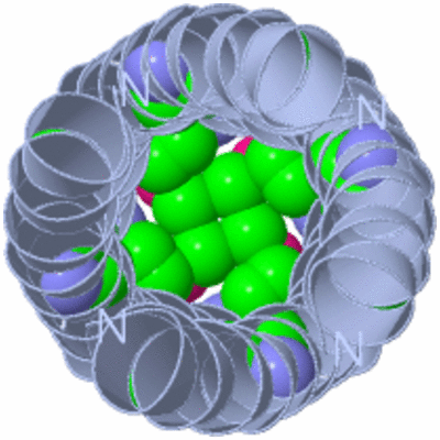 Image Biological Unit 2