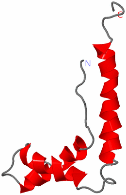 Image NMR Structure - model 1