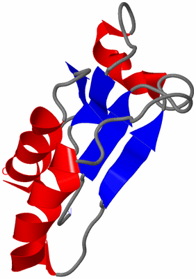 Image NMR Structure - model 1