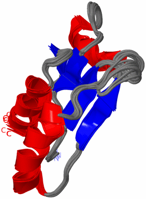 Image NMR Structure - all models