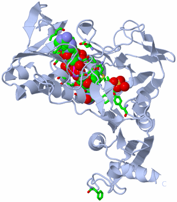 Image Biol. Unit 1 - sites