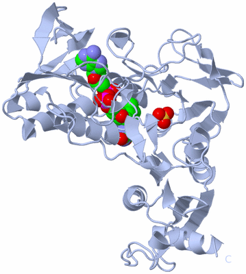 Image Biological Unit 1