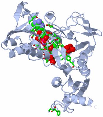 Image Biol. Unit 1 - sites