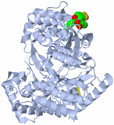 Image Biological Unit 1