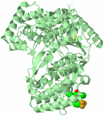 Image Biological Unit 2