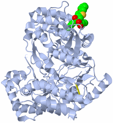 Image Biological Unit 1