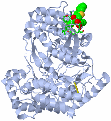 Image Biol. Unit 1 - sites