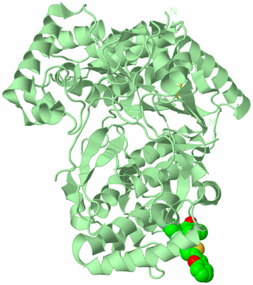 Image Biological Unit 2