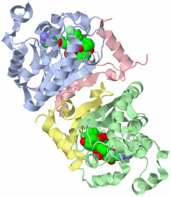 Image Biological Unit 1