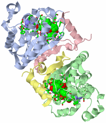 Image Biol. Unit 1 - sites