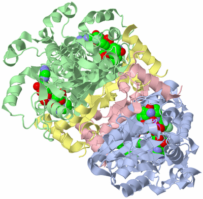 Image Biological Unit 2