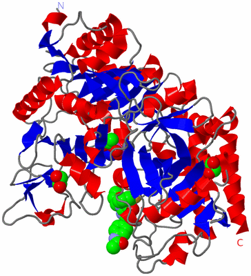 Image Asym./Biol. Unit