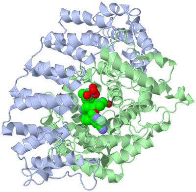 Image Asym./Biol. Unit